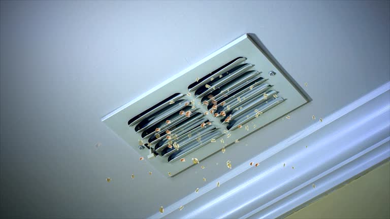 Best Duct Cleaning for Homes  in Homeacre Lyndora, PA
